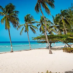 Coconut Court 3* Christ Church